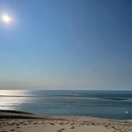 Grand Appt T2 Terrasse Sud + Pkg - 150m De La D'eyrac Arcachon